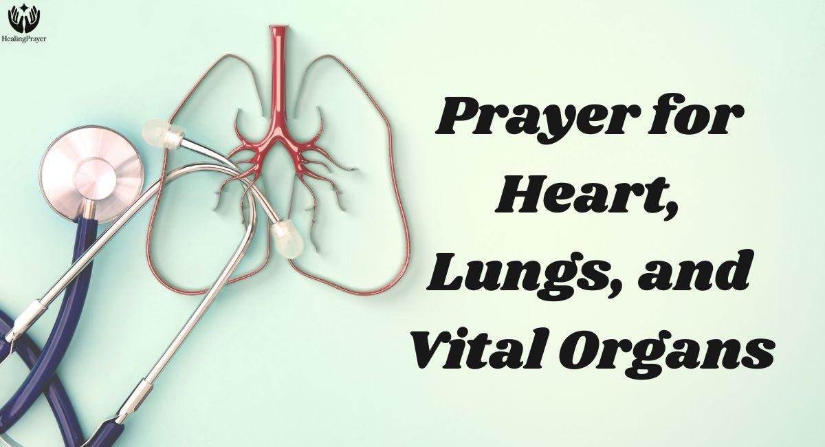 Prayer for Heart, Lungs, and Vital Organs