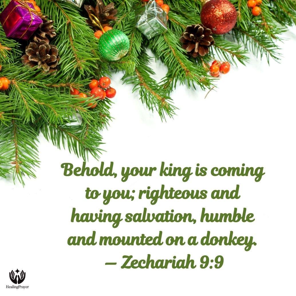 Zechariah 9:9 — The Coming King