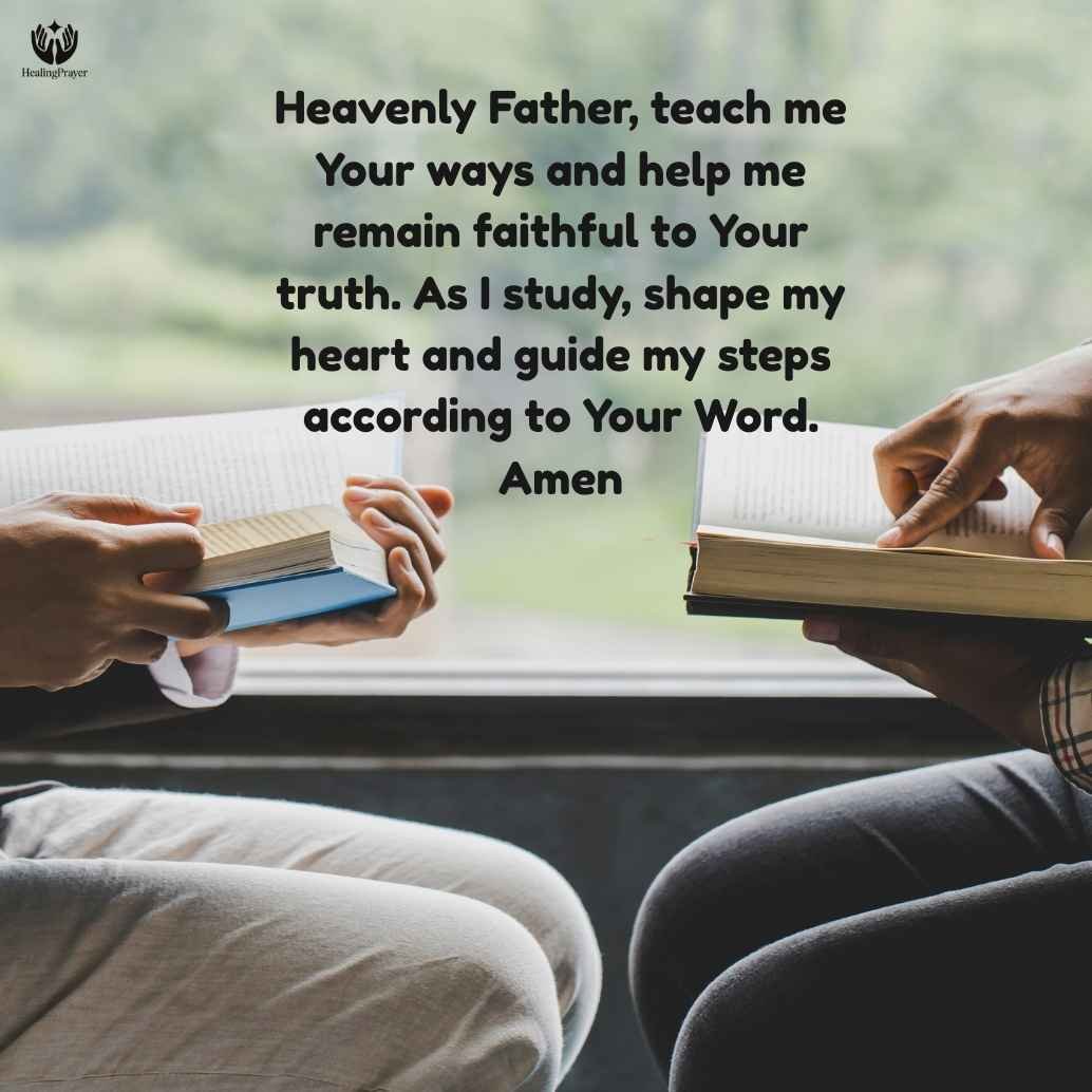 Best Beginner Study Bible for Adults