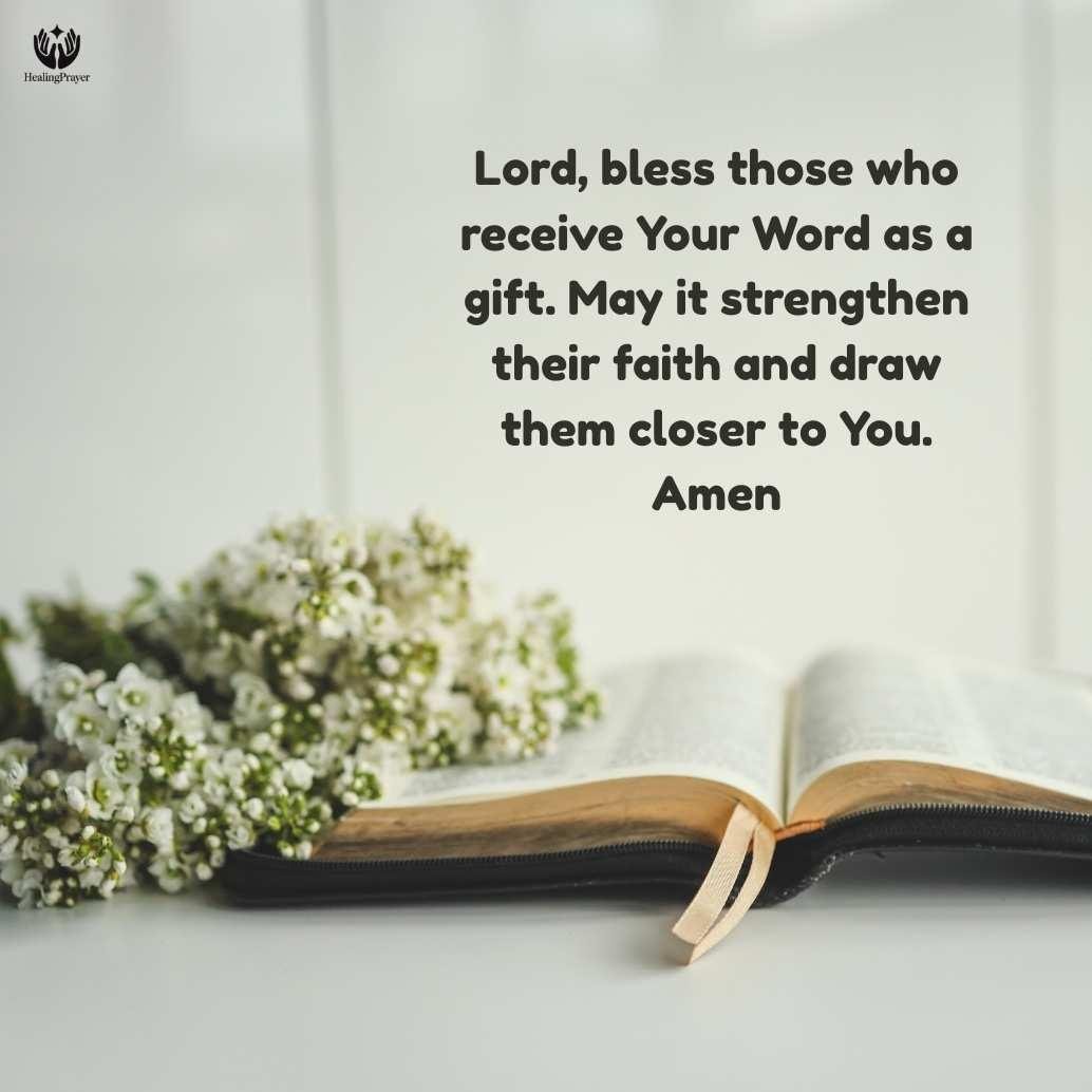 Best Study Bible for Gifts (New Believers, Teens, Pastors)