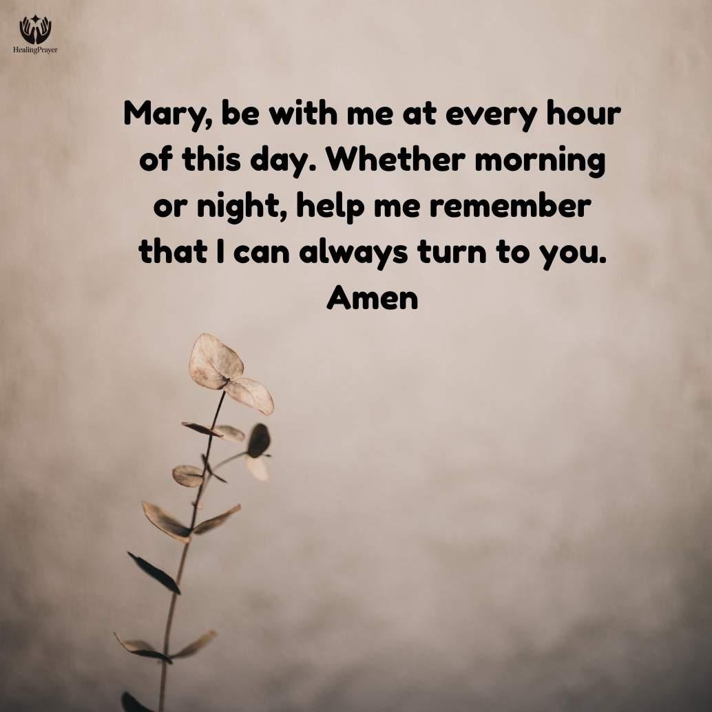 Best Time of Day to Pray the Memorare