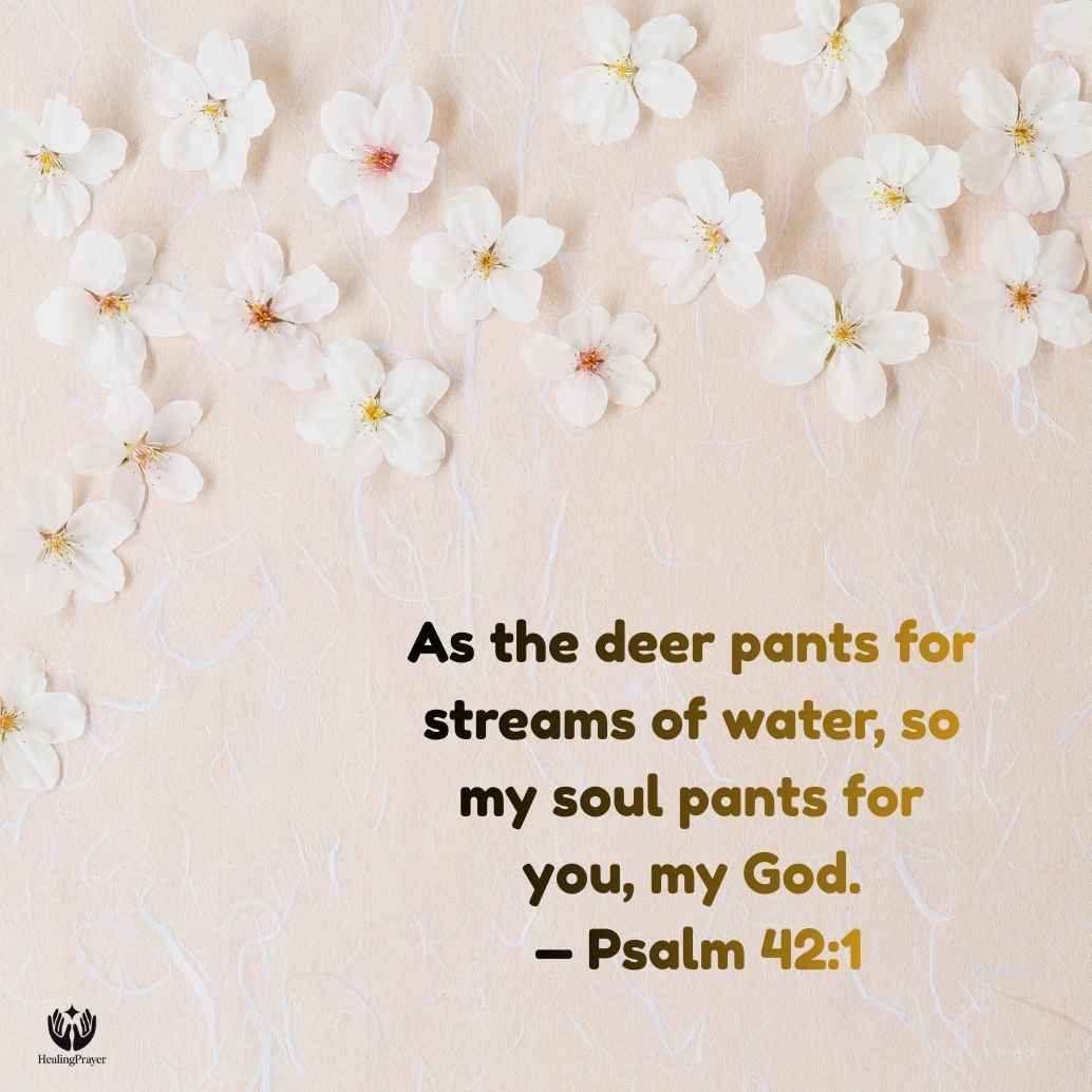 Psalms to Pray When You Feel Spiritually Dry