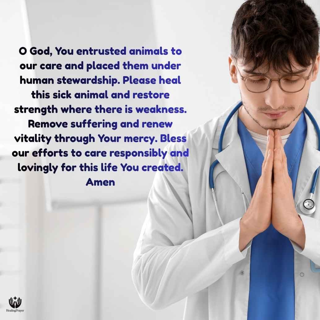Franciscan Prayer for Sick Animals