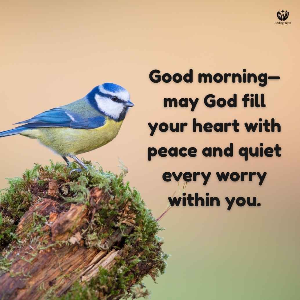 Good Morning Spiritual Blessings to Bring Peace to Your Heart