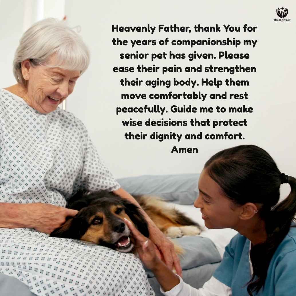 Healing Prayer for Senior Pets