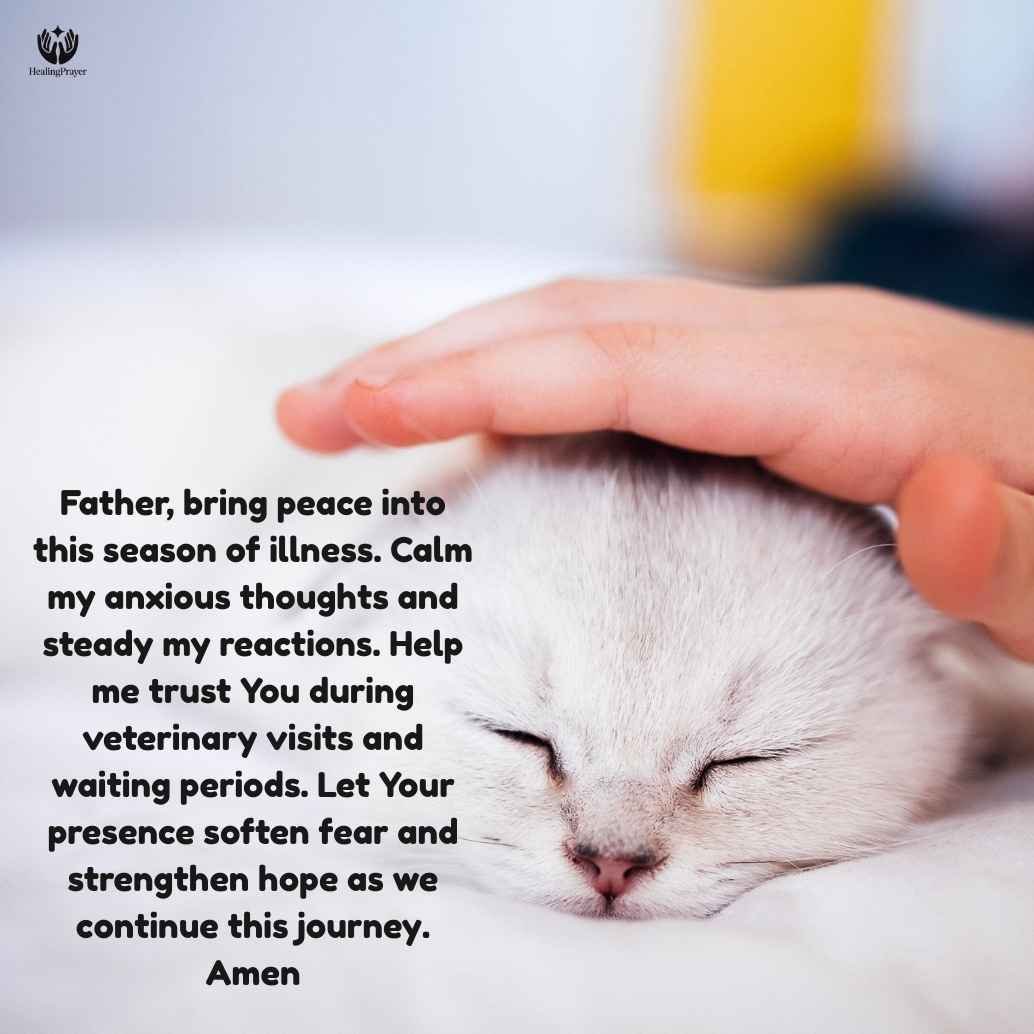 Prayer for Peace During Pet’s Illness