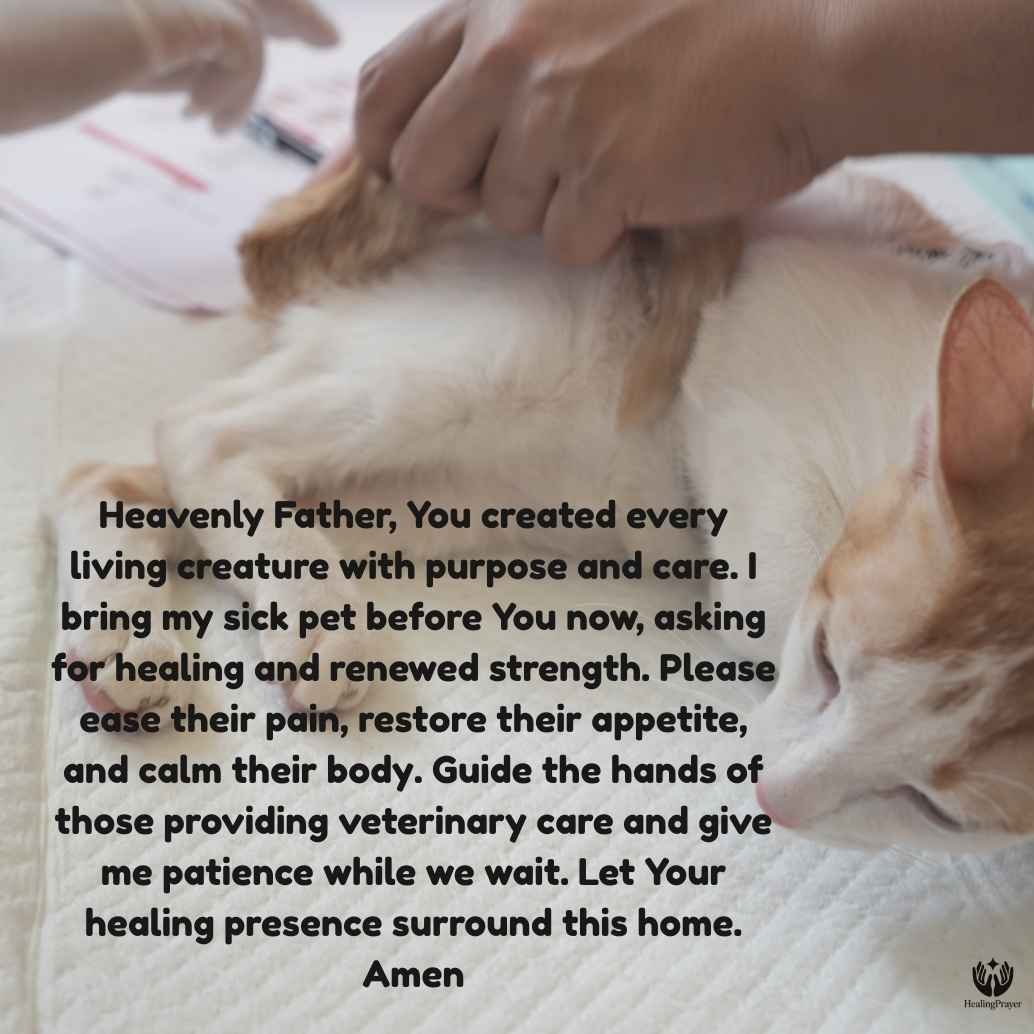 Prayer for the Healing of a Sick Pet
