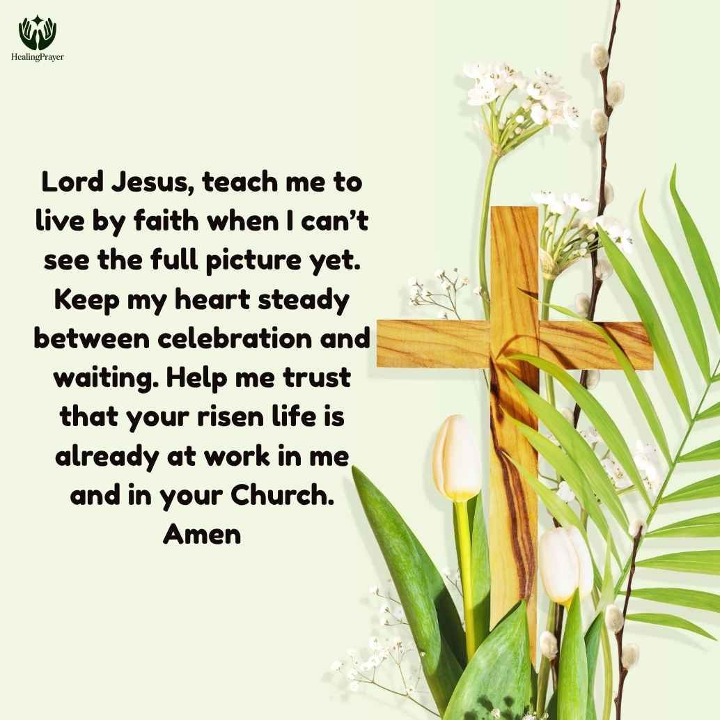 Meaning of the 7th Sunday of Easter in Year C