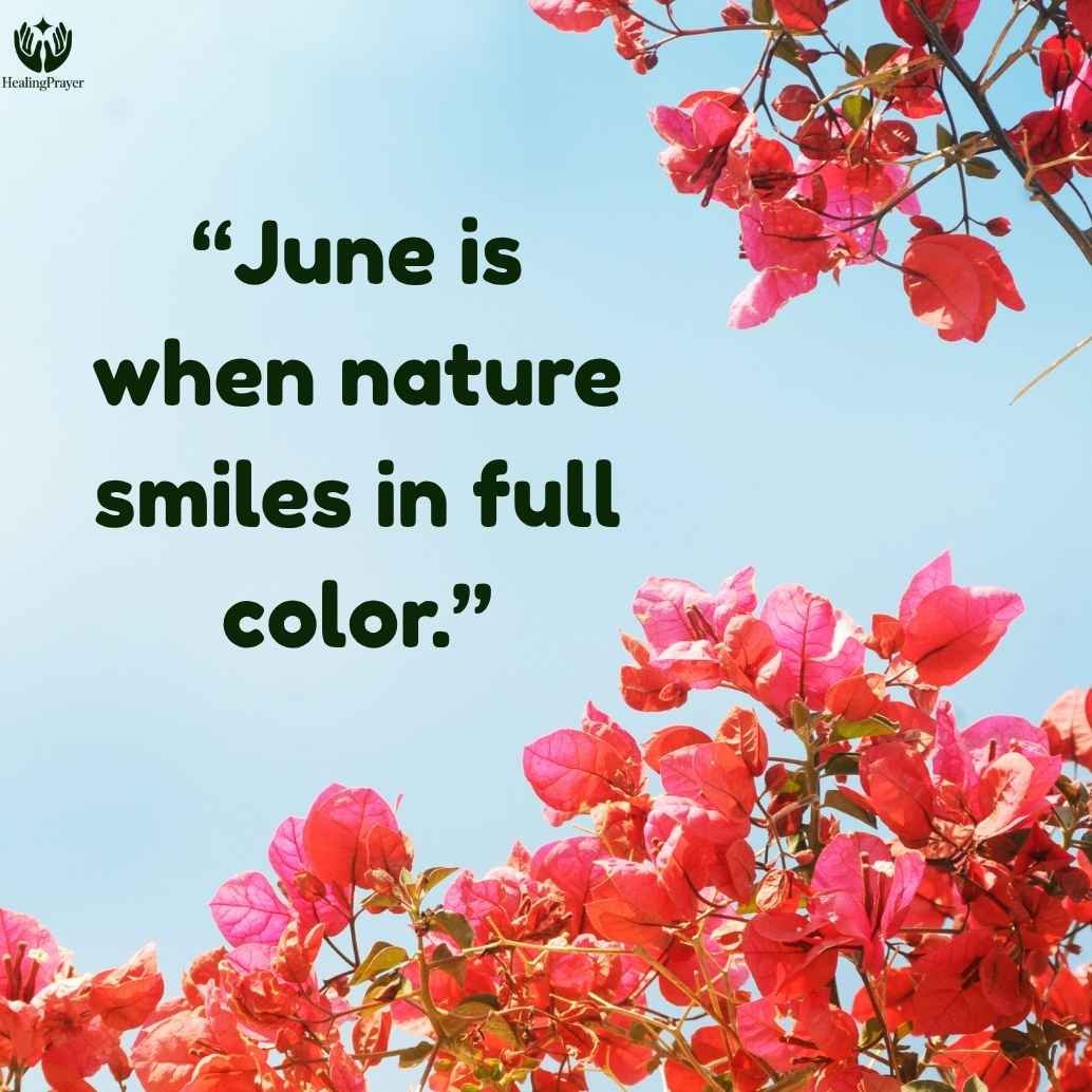 Beautiful June Quotes About Nature and Flowers