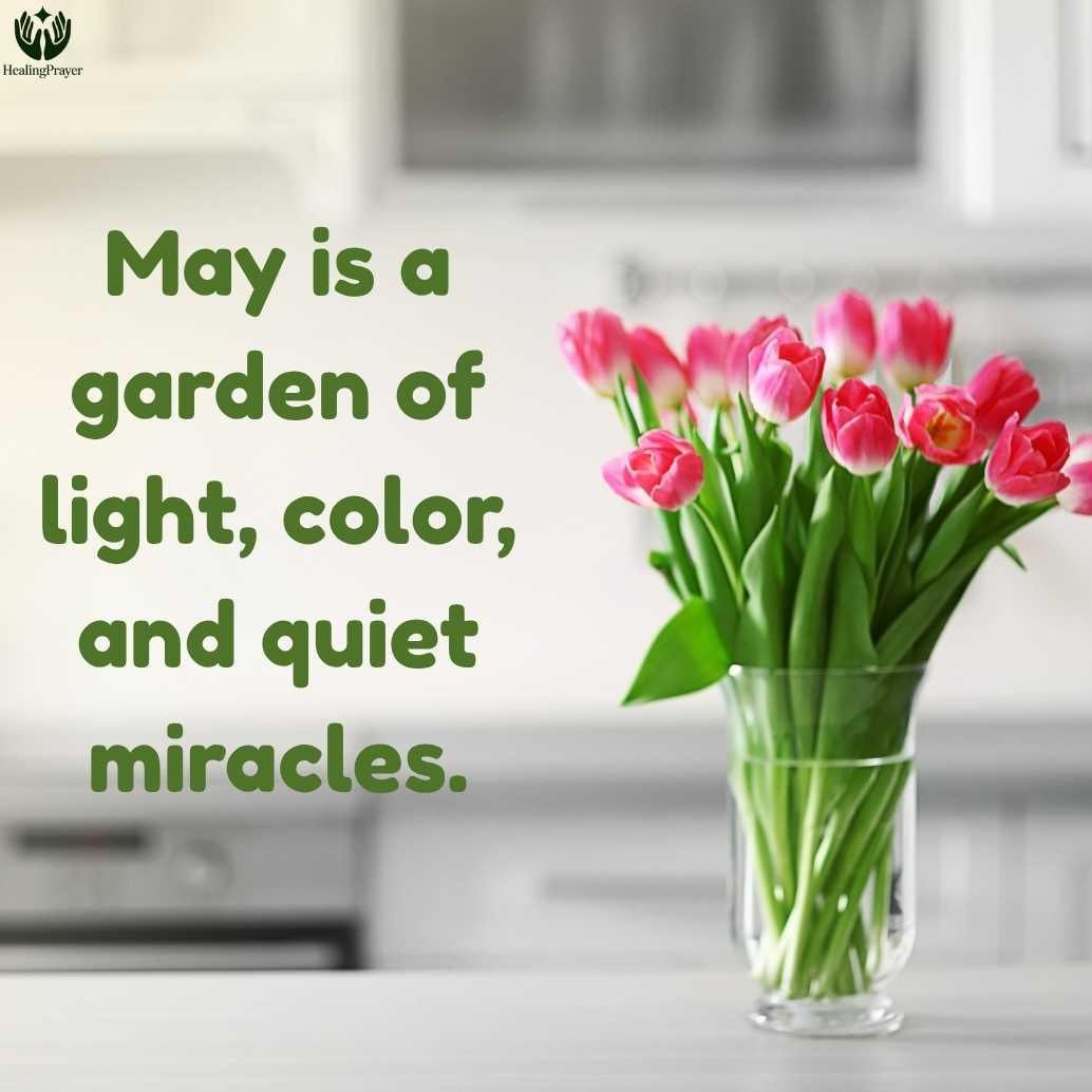 Beautiful May Quotes About Flowers, Sunshine, and Spring
