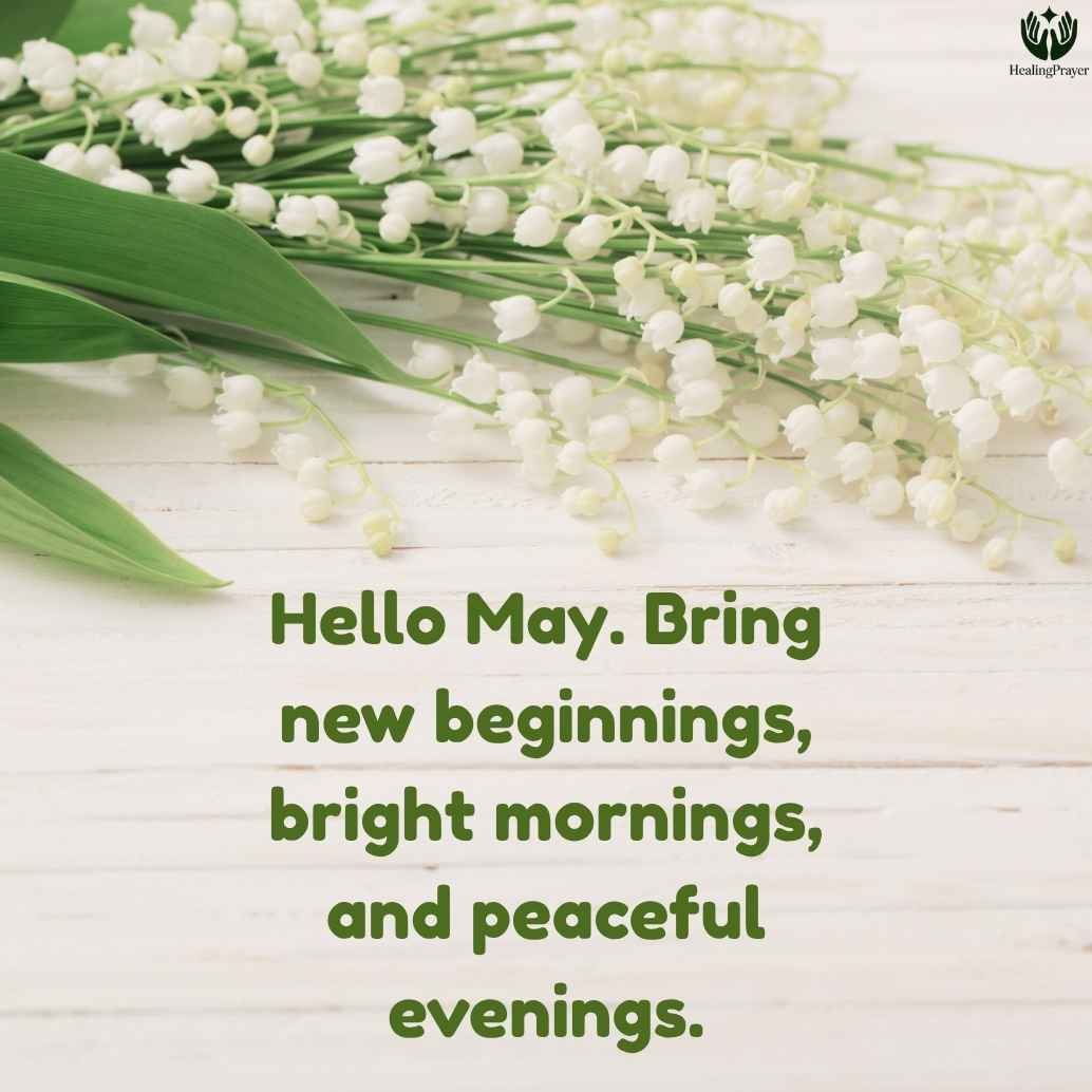 Hello May Quotes for New Beginnings and Bright Days