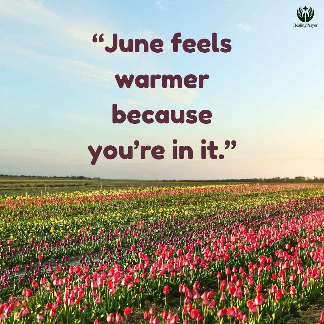 June Love Quotes for Warm Summer Feelings