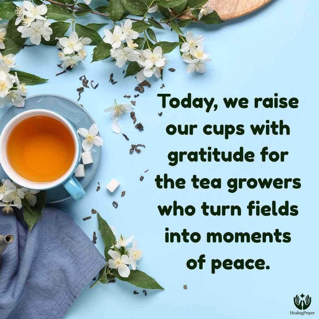 Special Messages for Tea Workers and Tea Growers