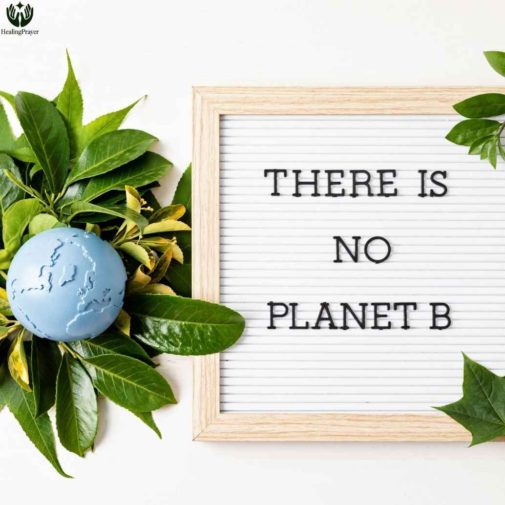 Best World Environment Day Quotes to Celebrate Our Planet