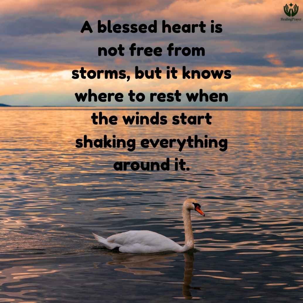 Peace and Blessings Quotes for a Calm Heart
