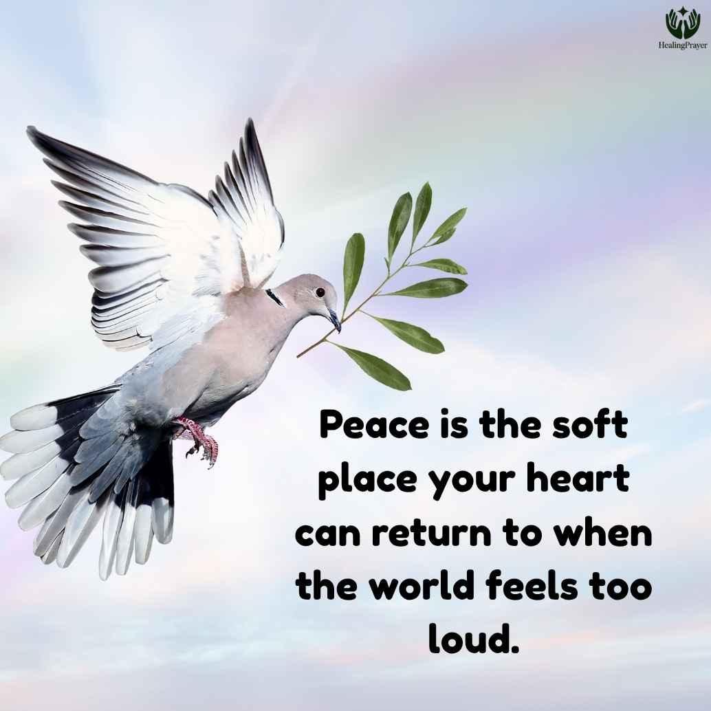 Short Peace Quotes for Quick Comfort