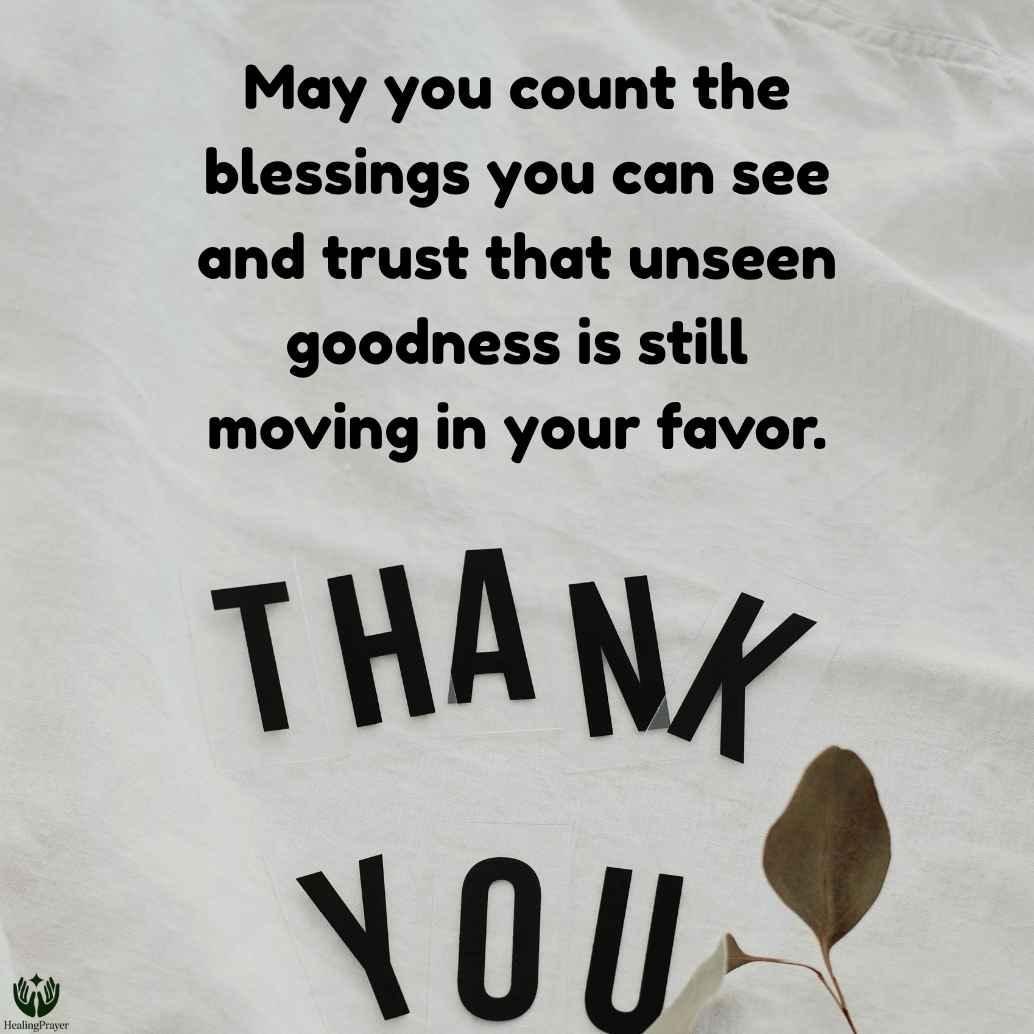 Thankful and Blessed Quotes for a Grateful Heart
