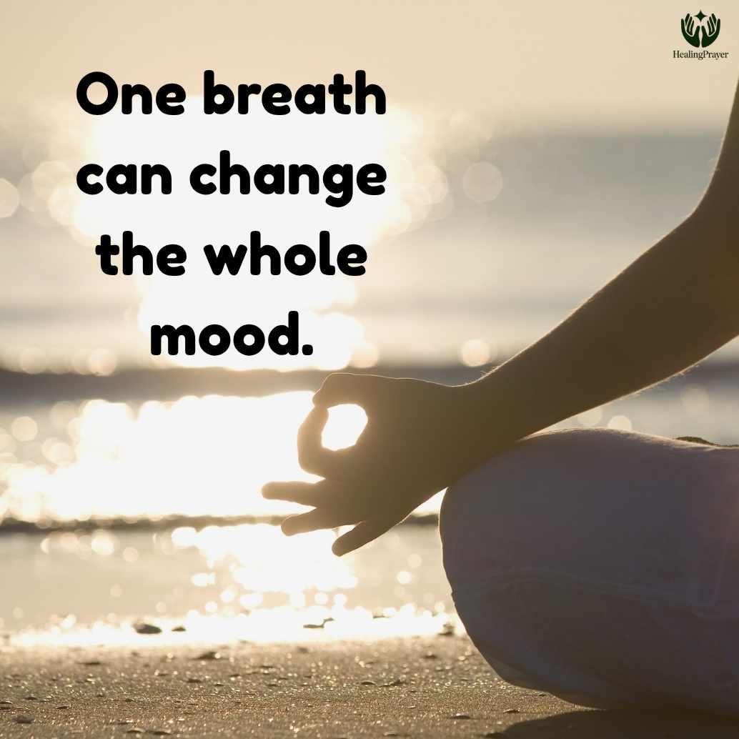 Yoga Day Short Quotes for WhatsApp Status