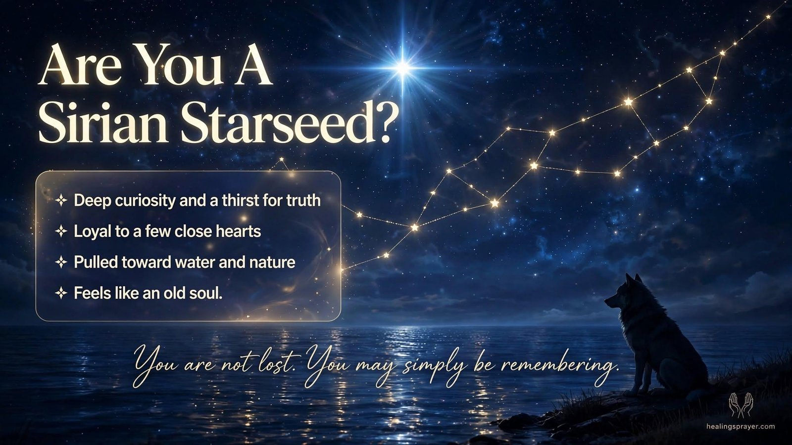  are-you-a-sirian-starseed.jpg