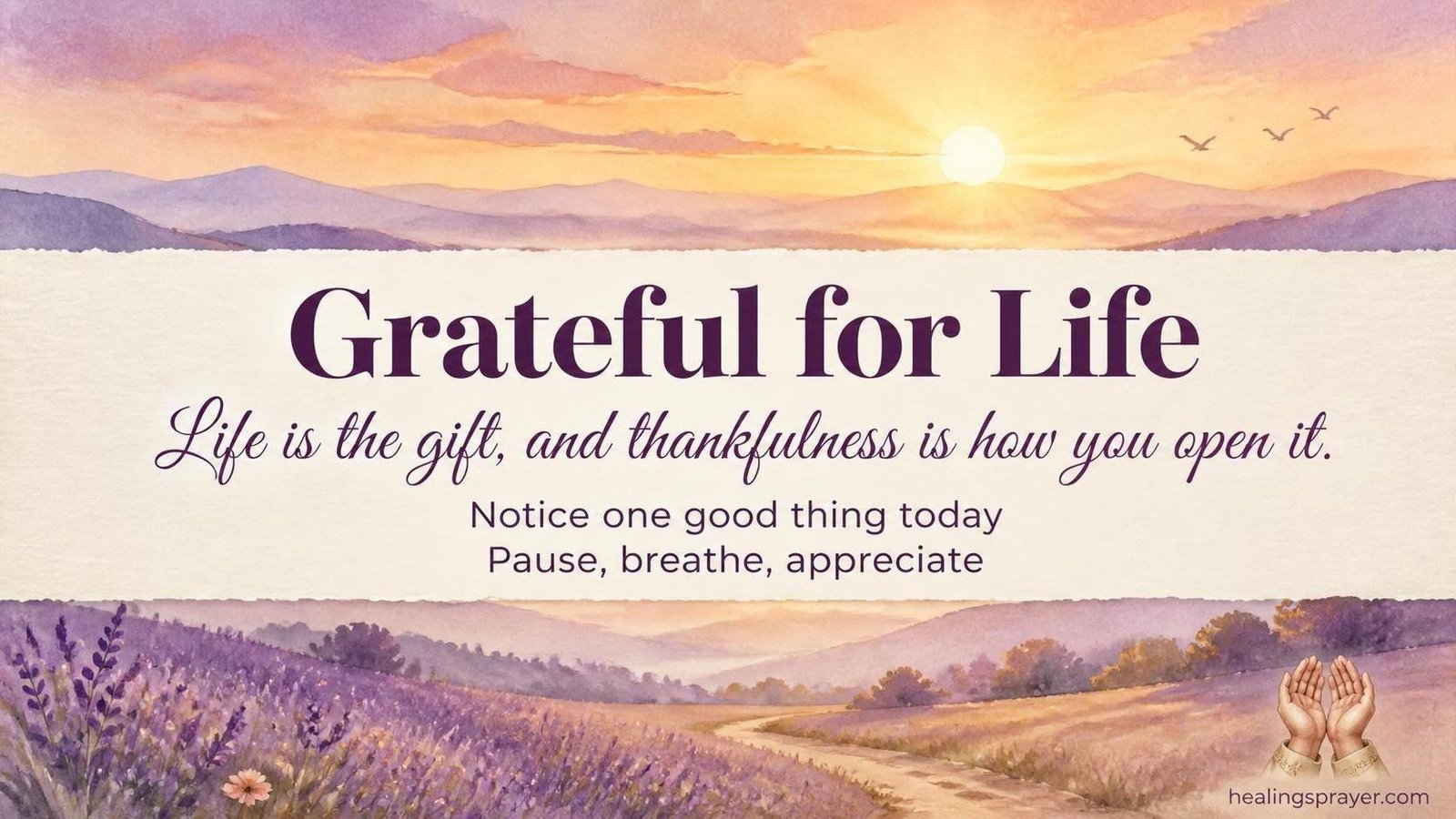 grateful for life quotes