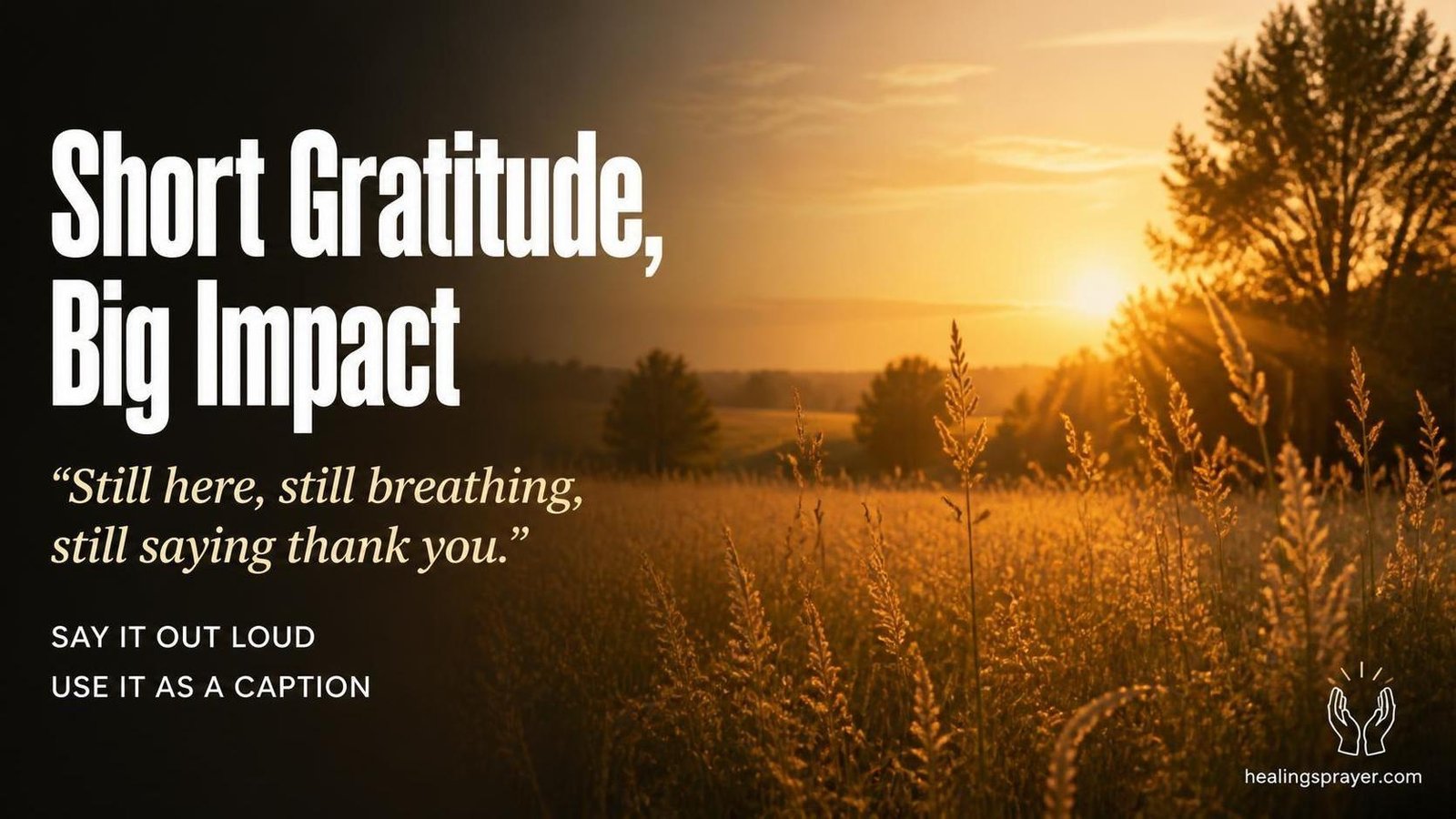 grateful for life quotes